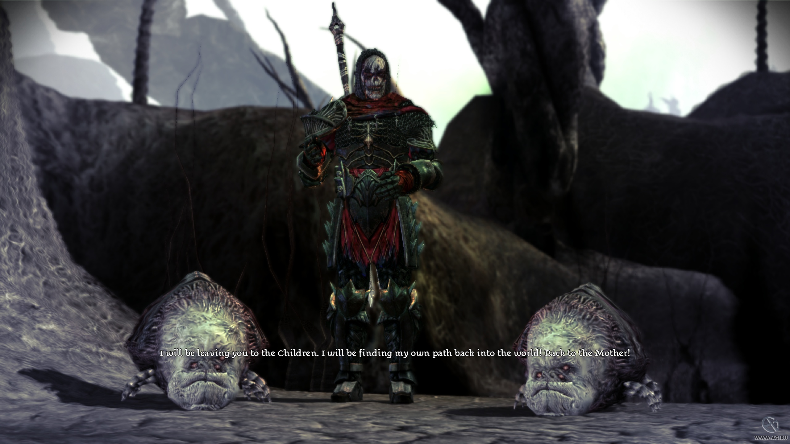Скриншот из игры Dragon Age: Origins - Awakening - 95