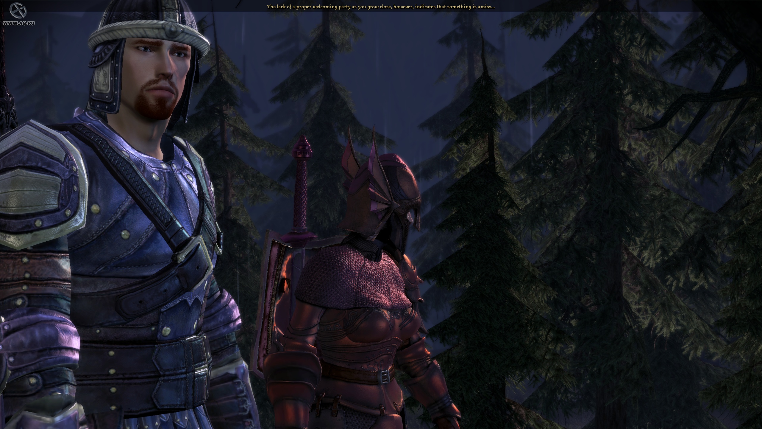 Скриншот из игры Dragon Age: Origins - Awakening - 78
