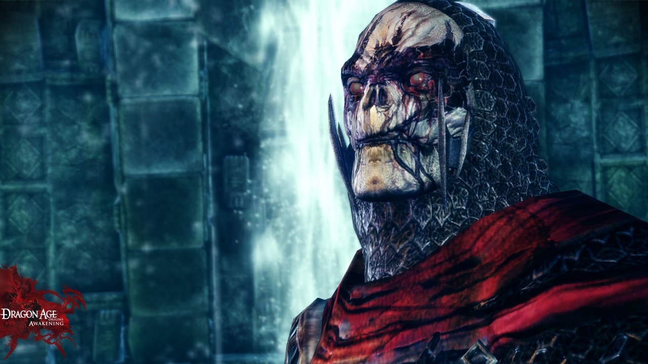 Скриншот из игры Dragon Age: Origins - Awakening - 51
