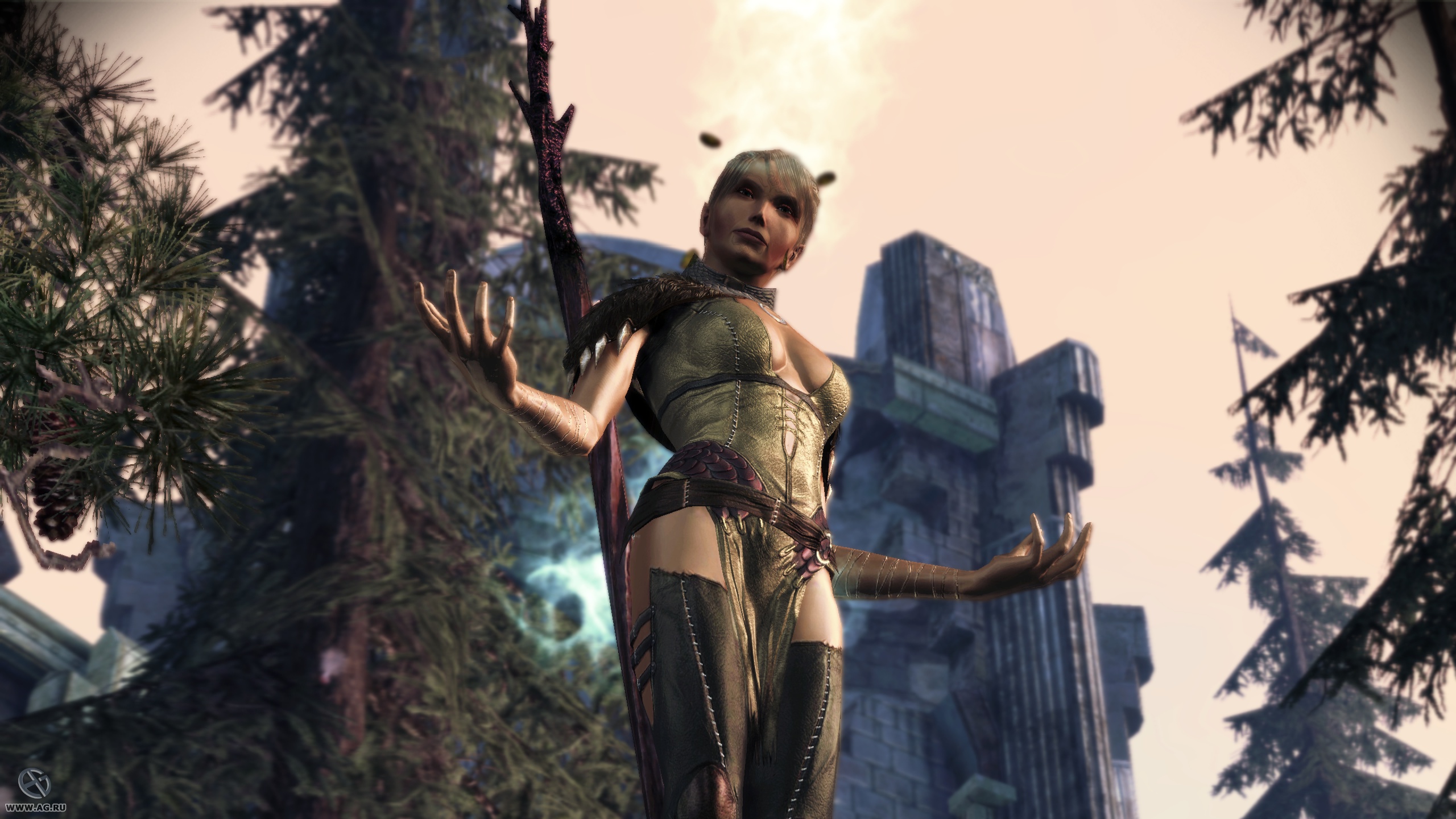 Скриншот из игры Dragon Age: Origins - Awakening - 116