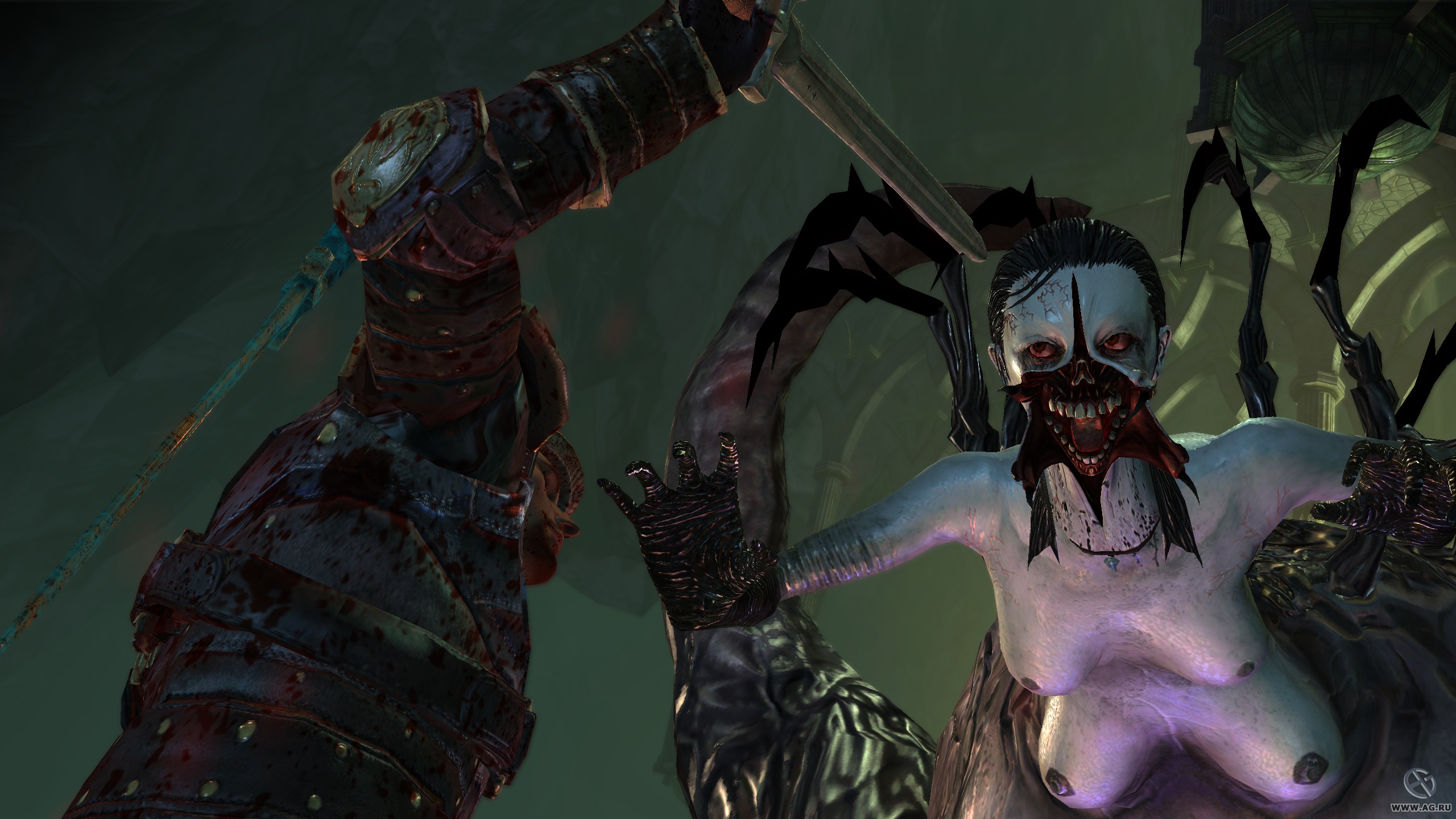 Скриншот из игры Dragon Age: Origins - Awakening - 82