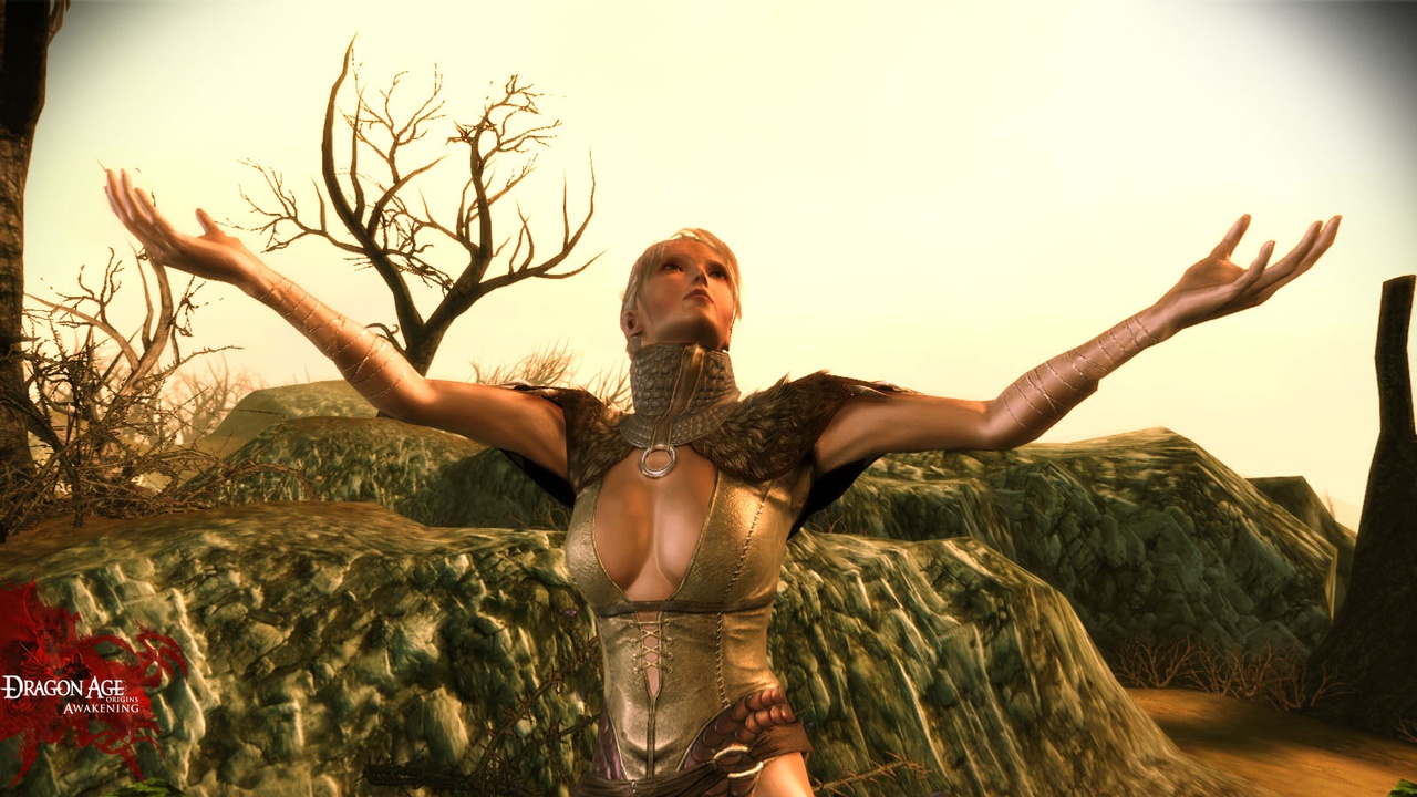 Скриншот из игры Dragon Age: Origins - Awakening - 91