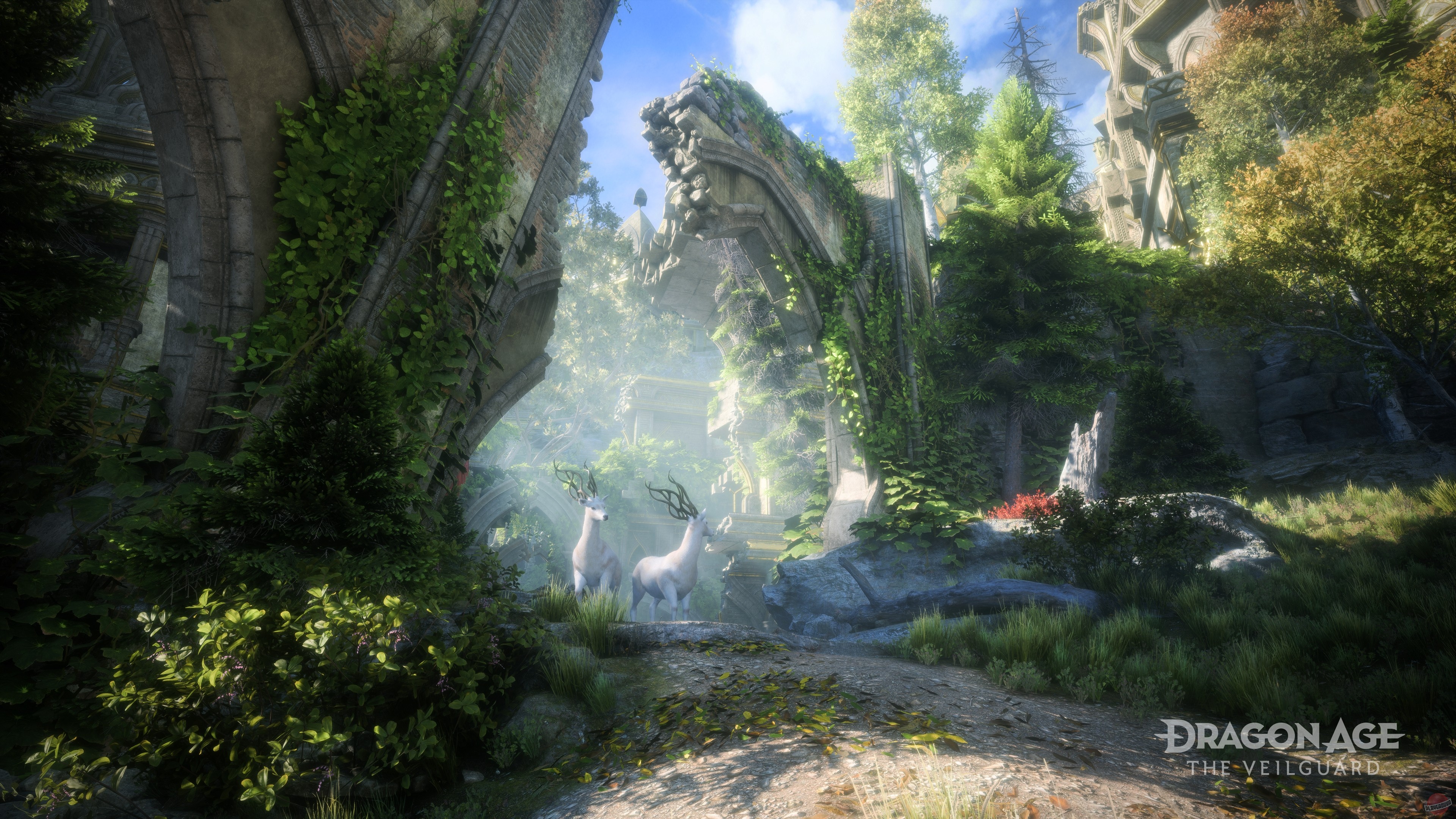 Скриншот из игры Dragon Age: The Veilguard - 64