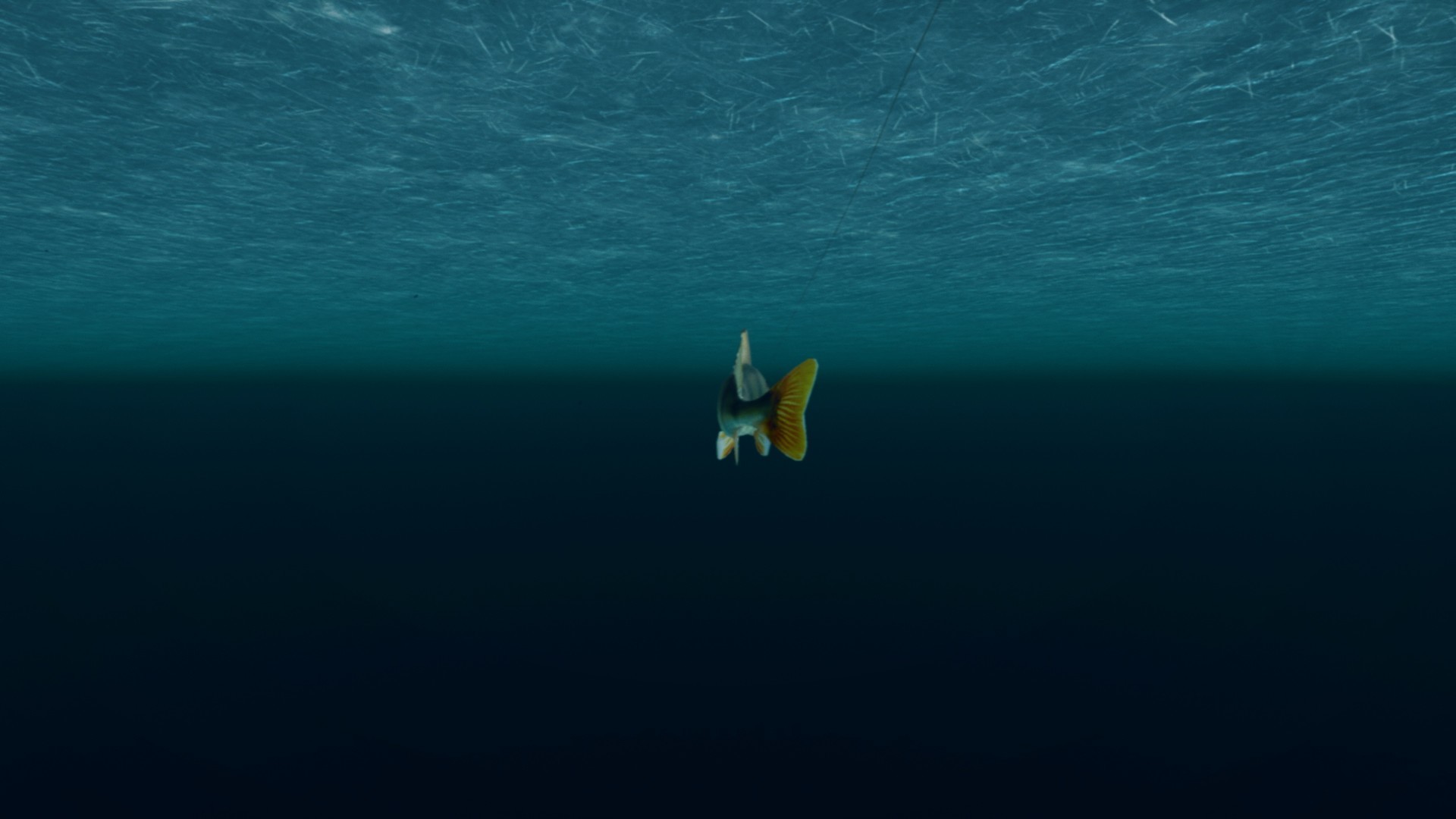 Скриншот из игры Ultimate Fishing Simulator VR - 27