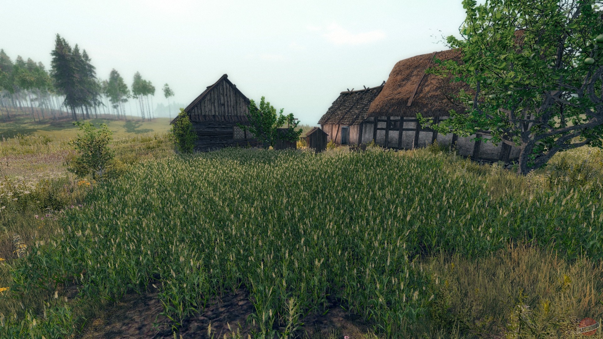 Скриншот из игры Life is Feudal: Your Own - 23