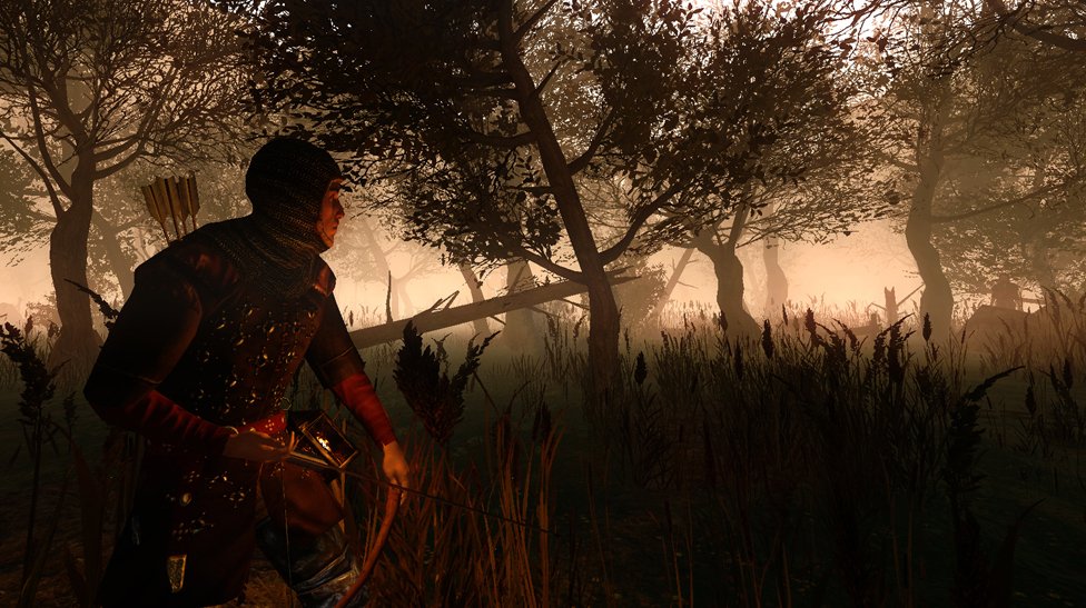 Скриншот из игры Gloria Victis - 11