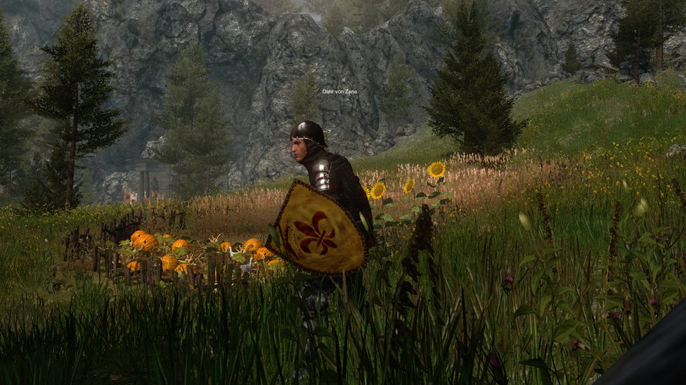 Скриншот из игры Gloria Victis - 14