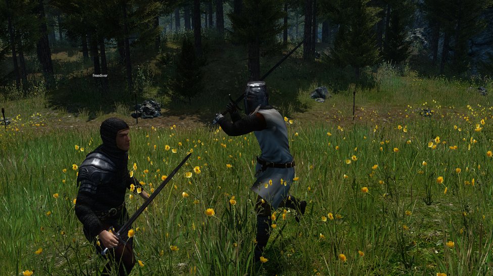 Скриншот из игры Gloria Victis - 15