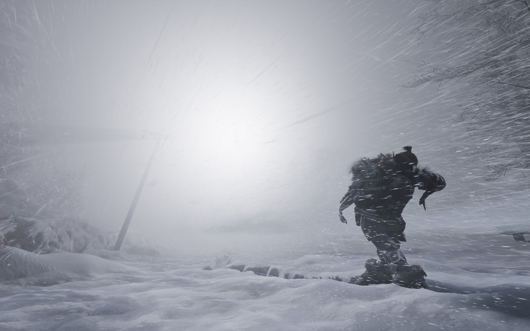 Скриншот из игры Fade to Silence - 5
