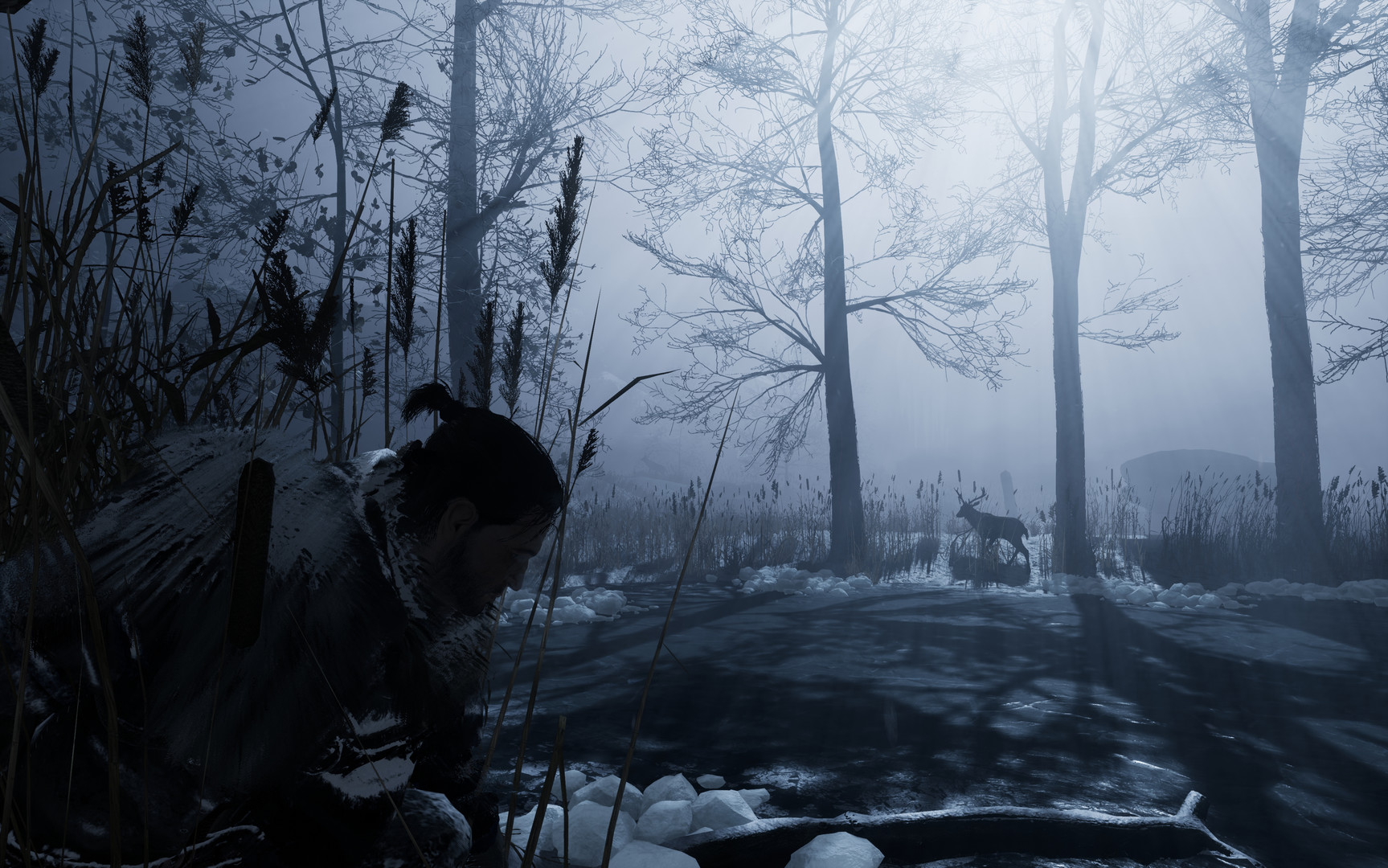 Скриншот из игры Fade to Silence - 6
