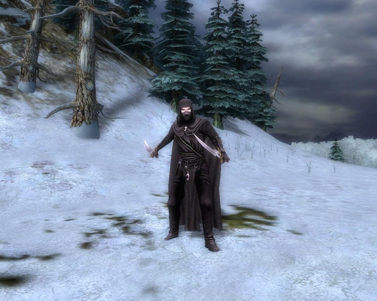 Скриншот из игры Warhammer: Mark of Chaos - Battle March - 31