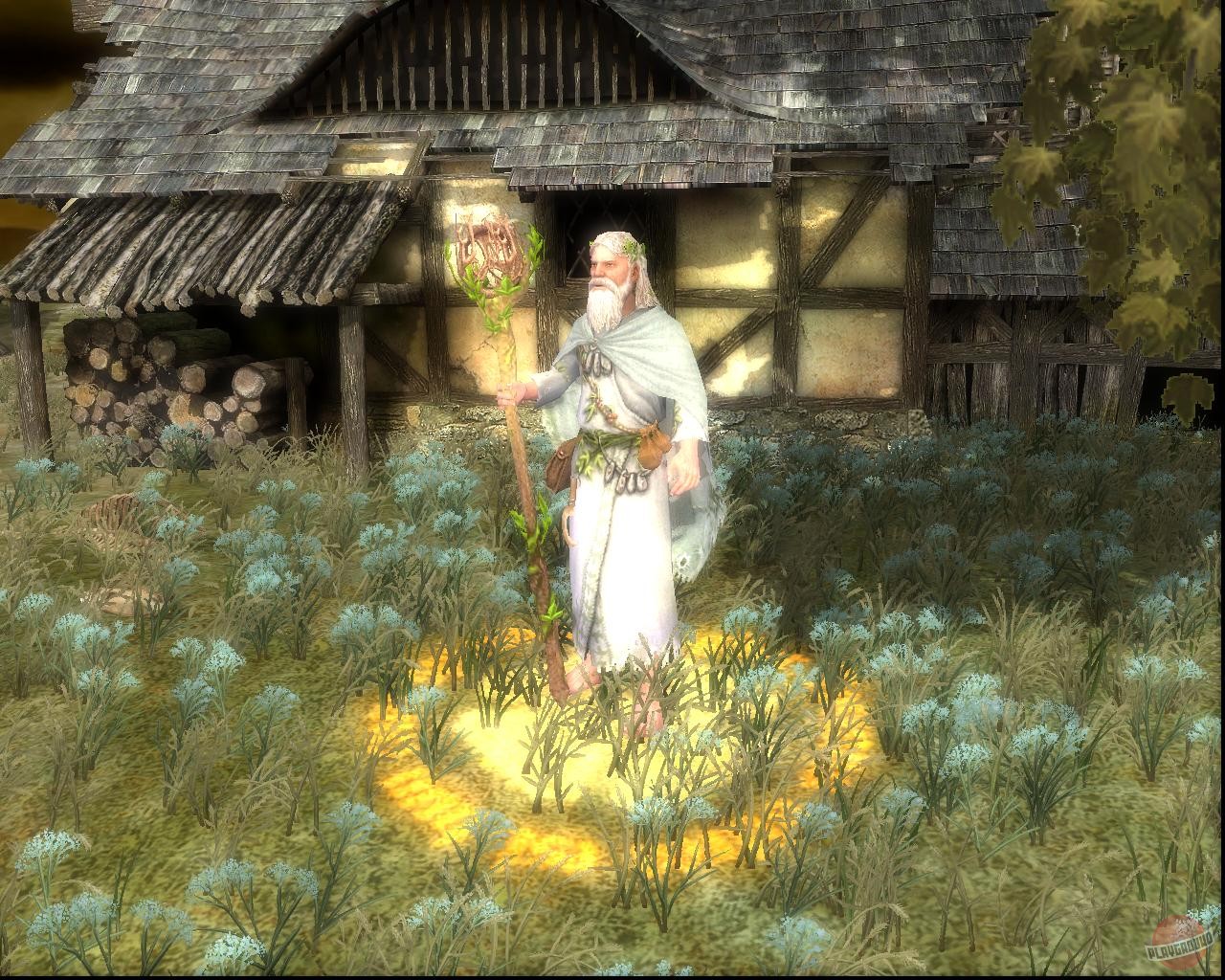 Скриншот из игры Warhammer: Mark of Chaos - 62