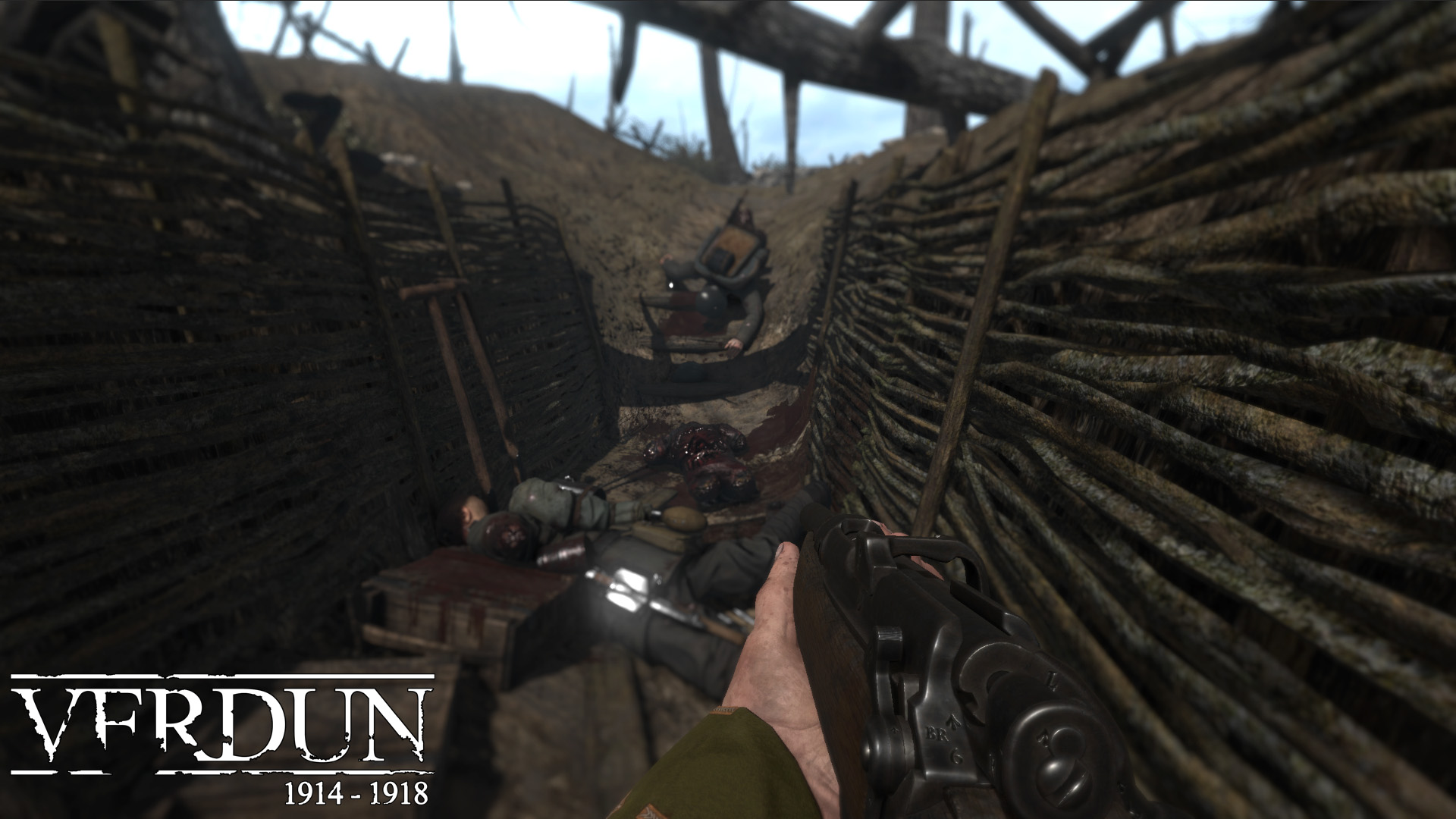 Скриншот из игры Verdun - 82