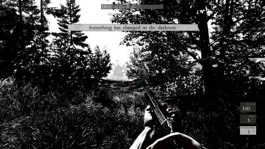 Скриншот из игры Betrayer - 5