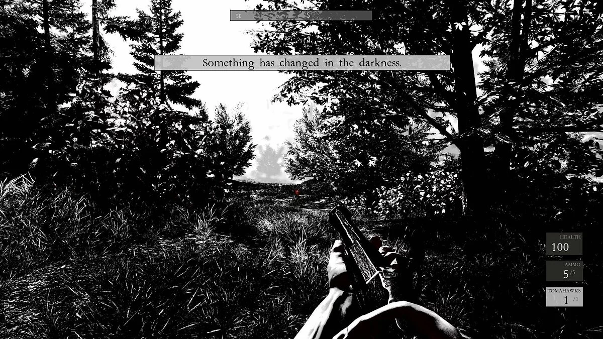 Скриншот из игры Betrayer - 32