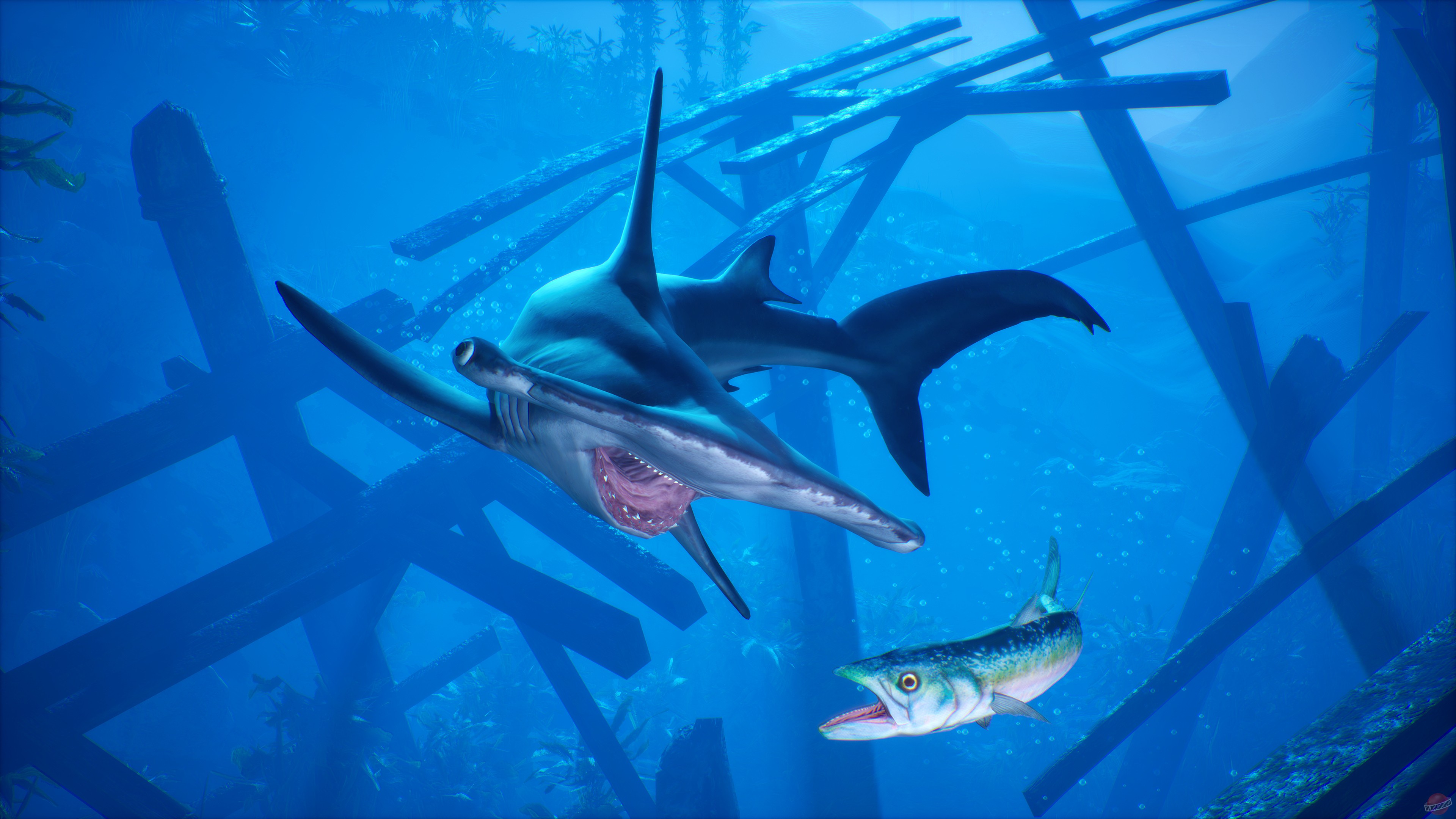 Скриншот из игры Maneater - 47