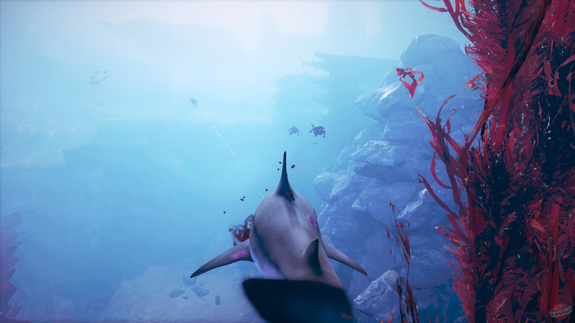 Скриншот из игры Maneater - 59