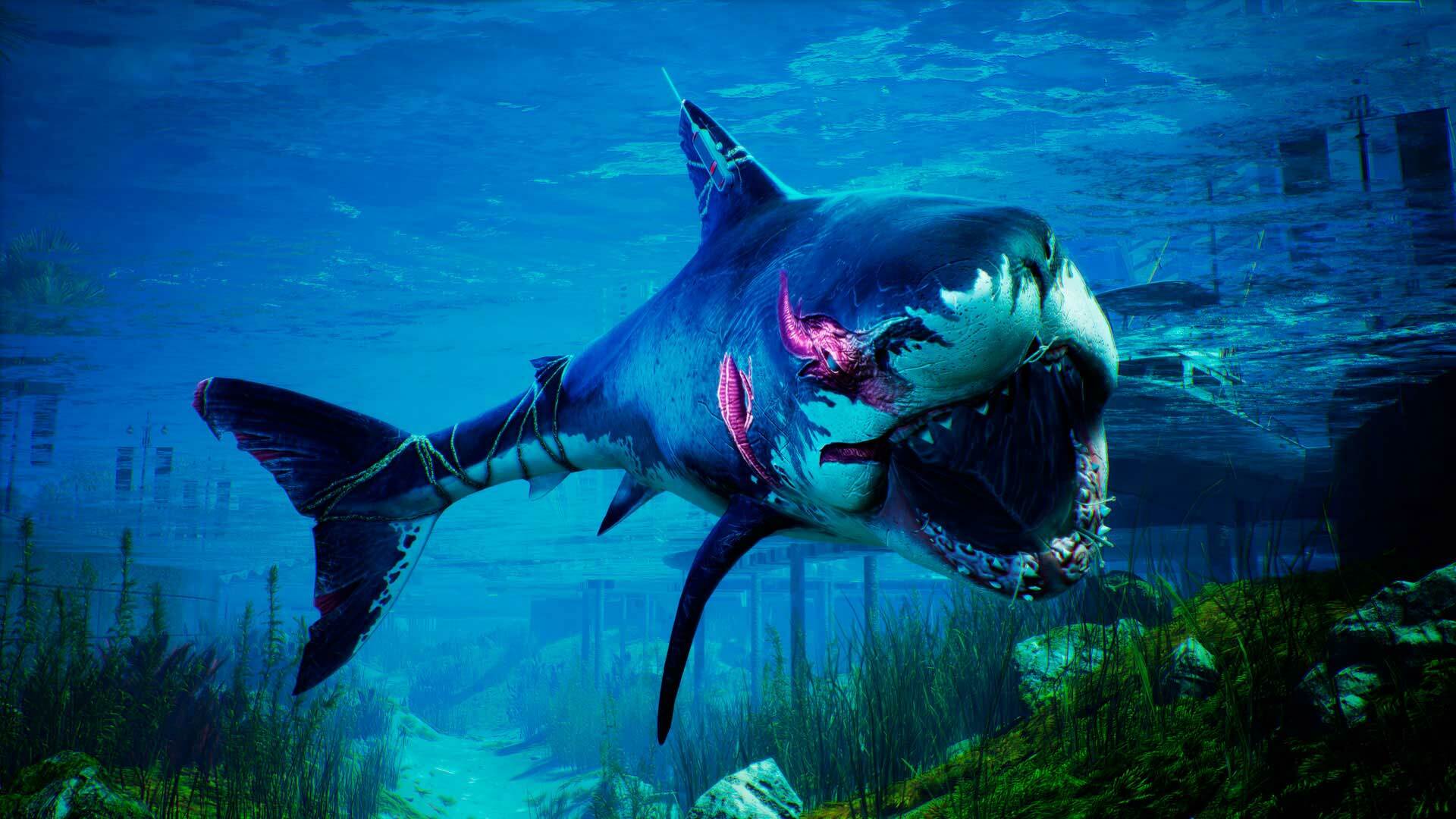 Скриншот из игры Maneater - 53