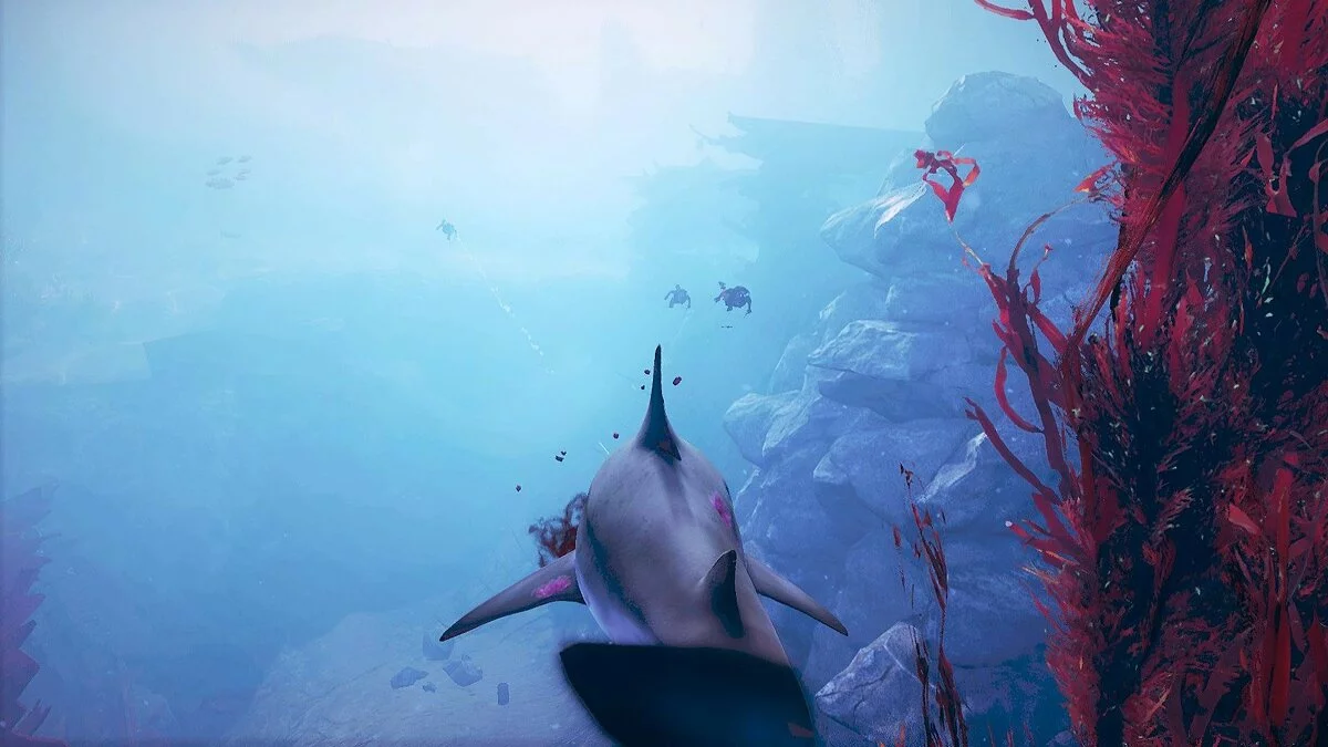 Скриншот из игры Maneater - 41