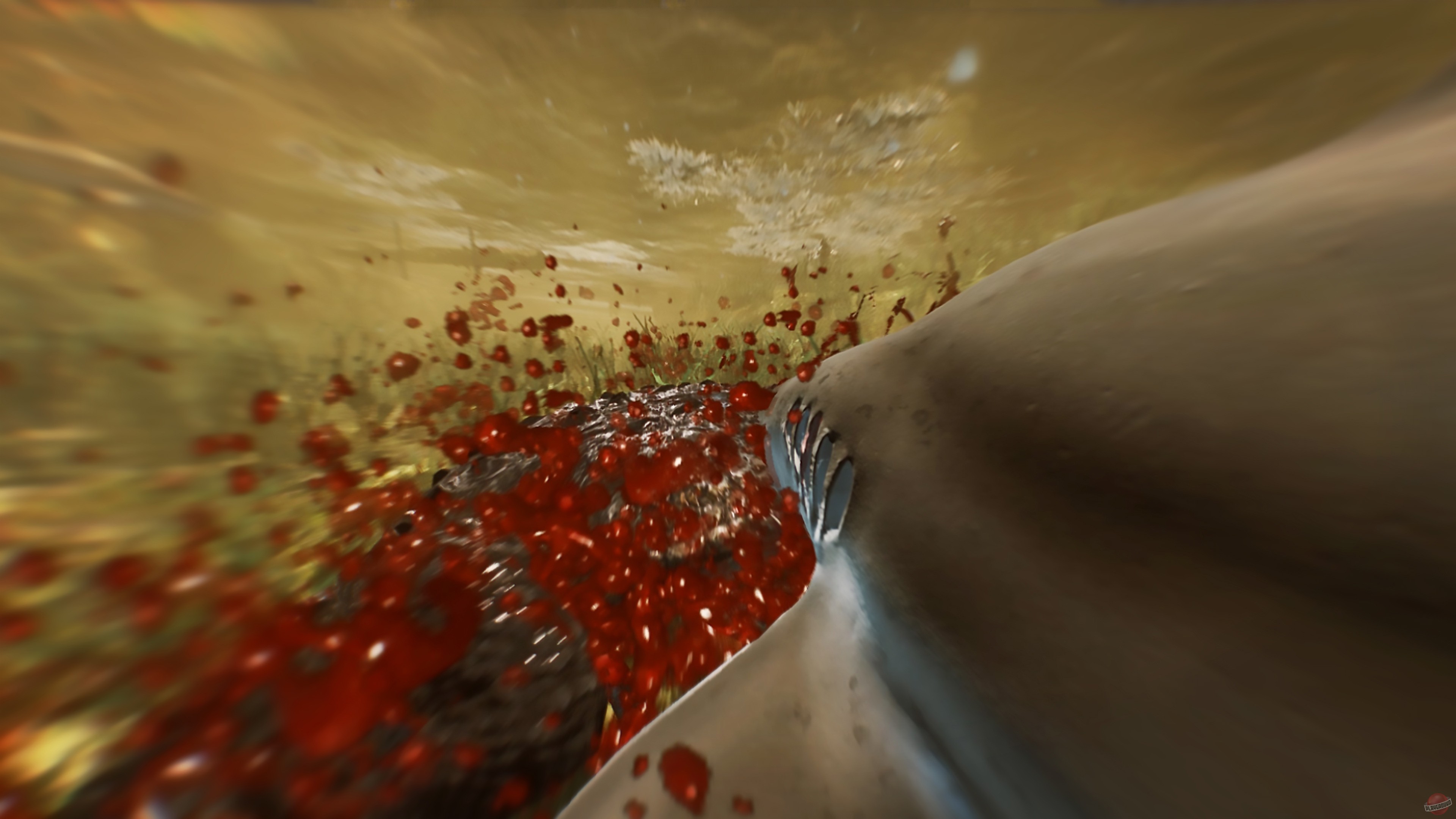 Скриншот из игры Maneater - 69