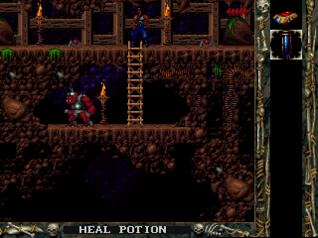 Скриншот из игры Blackthorne - 24