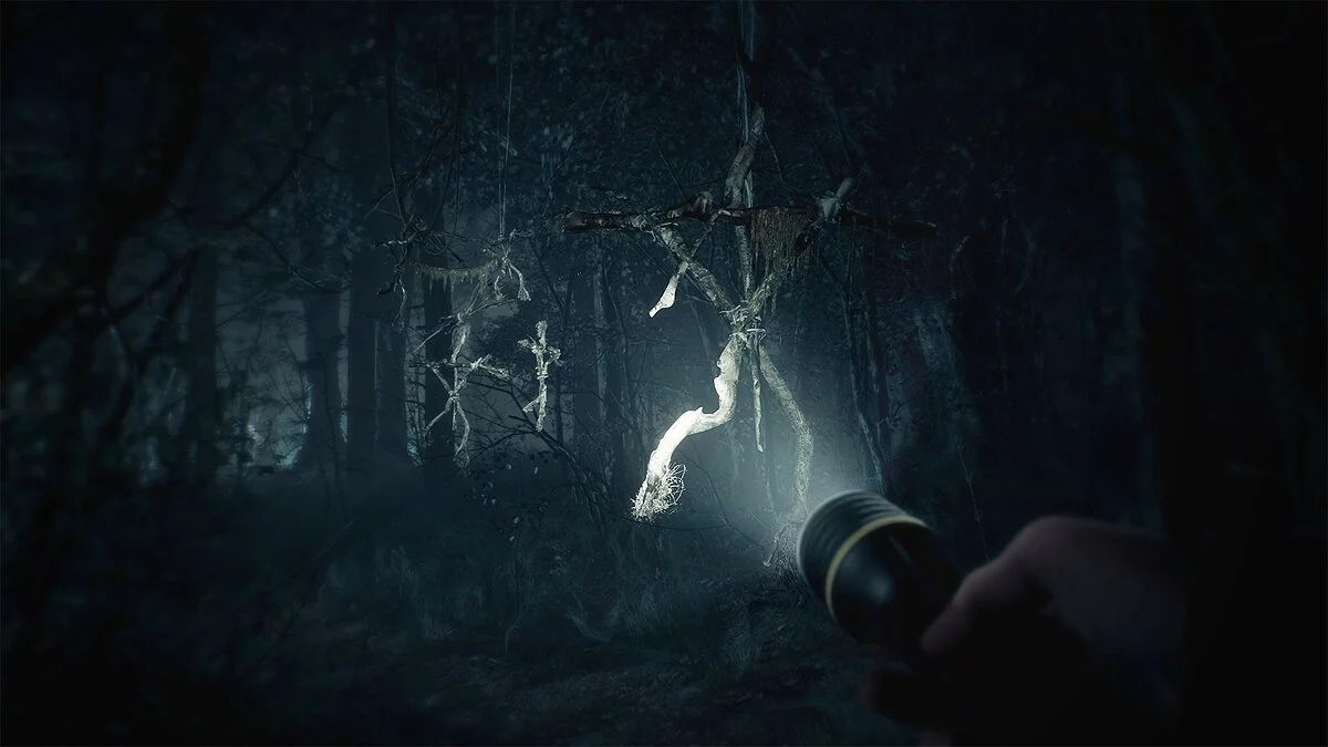 Скриншот из игры Blair Witch - 17