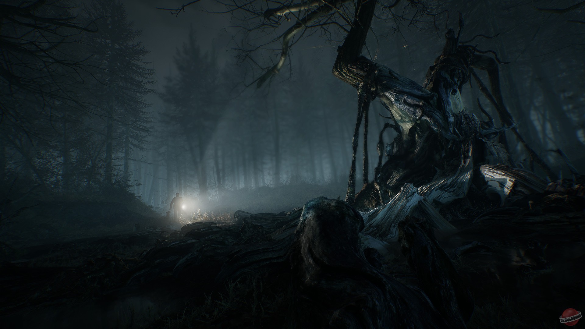 Скриншот из игры Blair Witch - 11