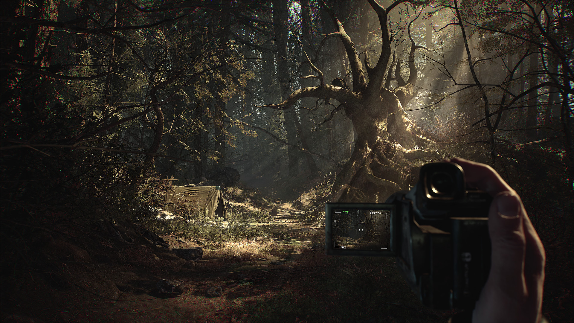 Скриншот из игры Blair Witch - 18