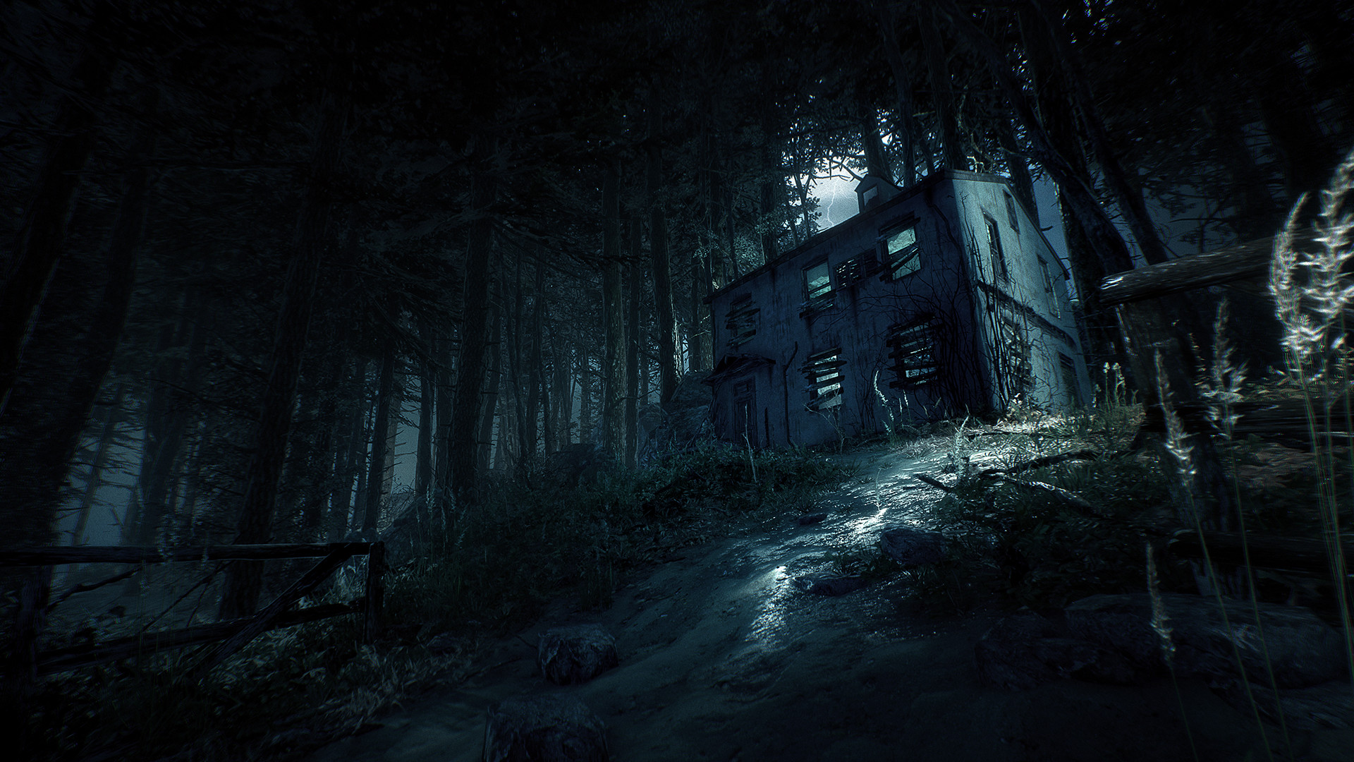 Скриншот из игры Blair Witch - 26