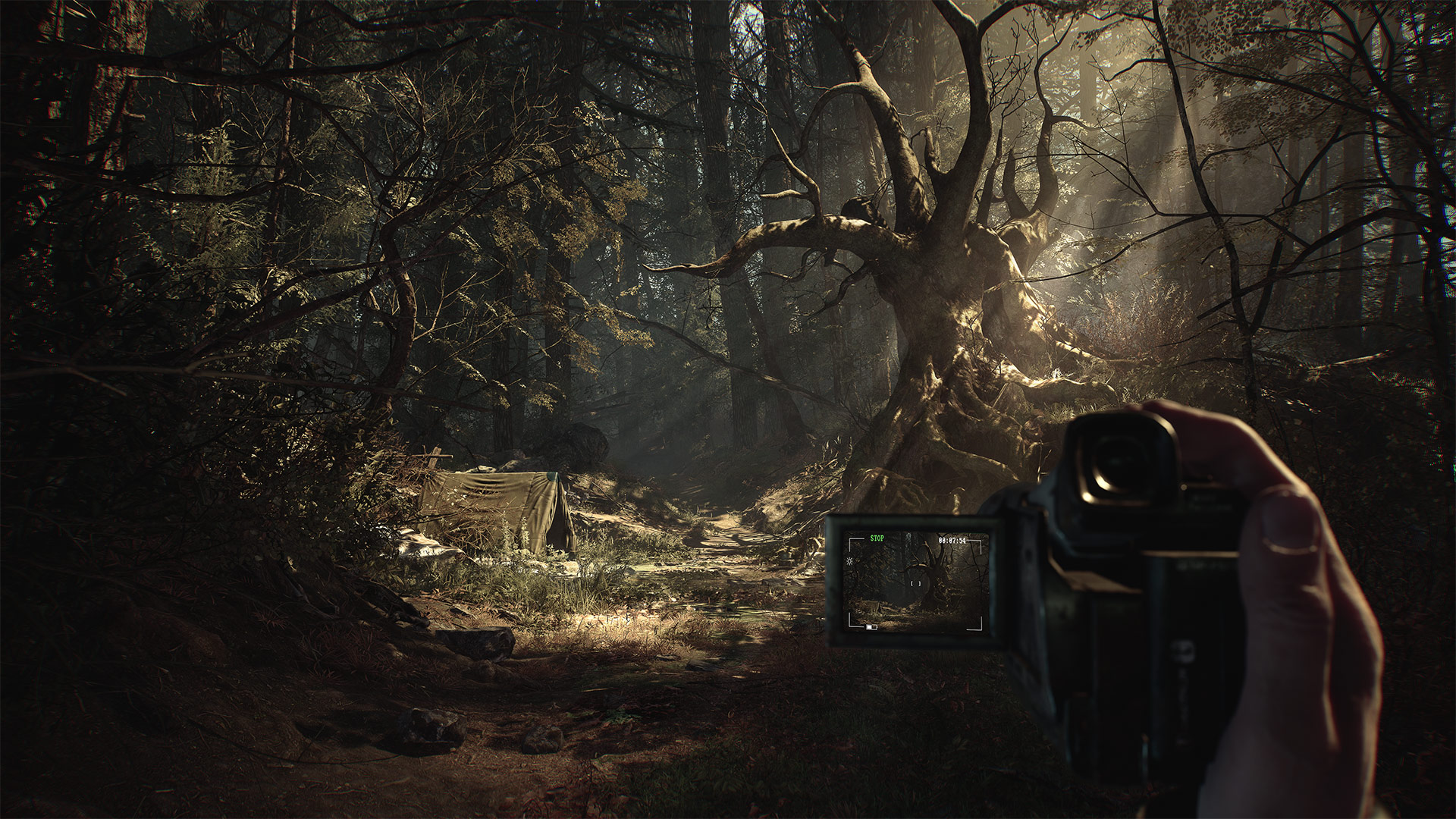 Скриншот из игры Blair Witch - 5