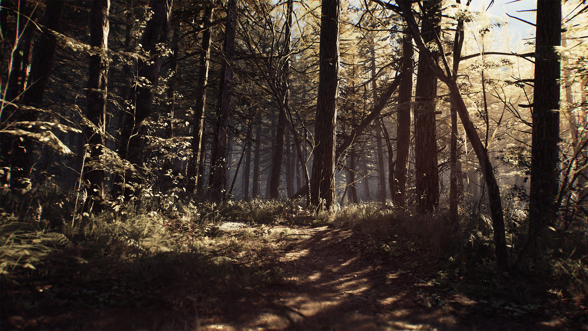Скриншот из игры Blair Witch - 6