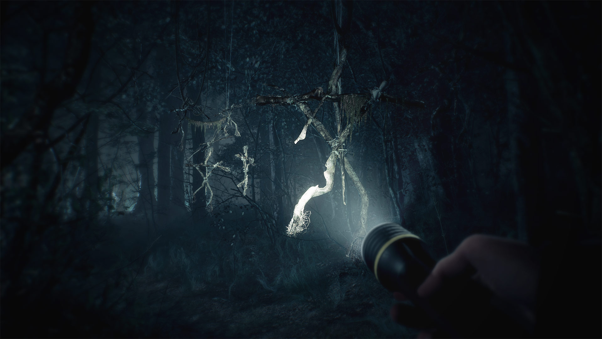 Скриншот из игры Blair Witch - 8