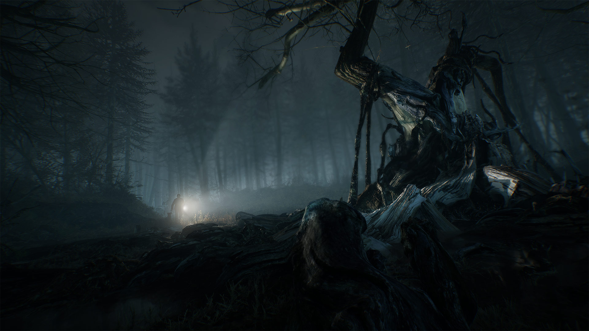 Скриншот из игры Blair Witch - 9