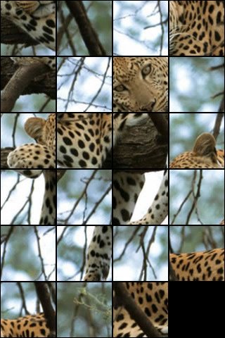 Скриншот из игры Animal Puzzle - 1