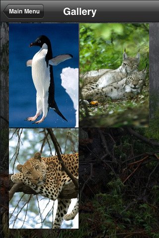 Скриншот из игры Animal Puzzle - 2