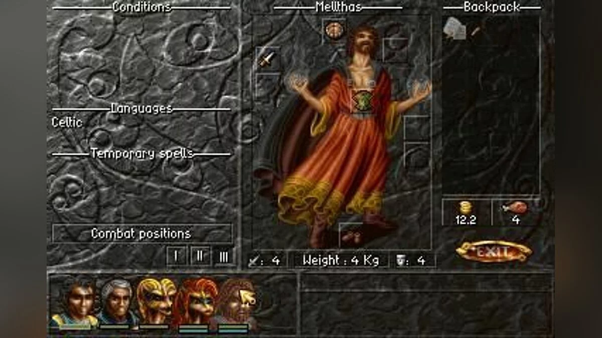 Скриншот из игры Albion - 19