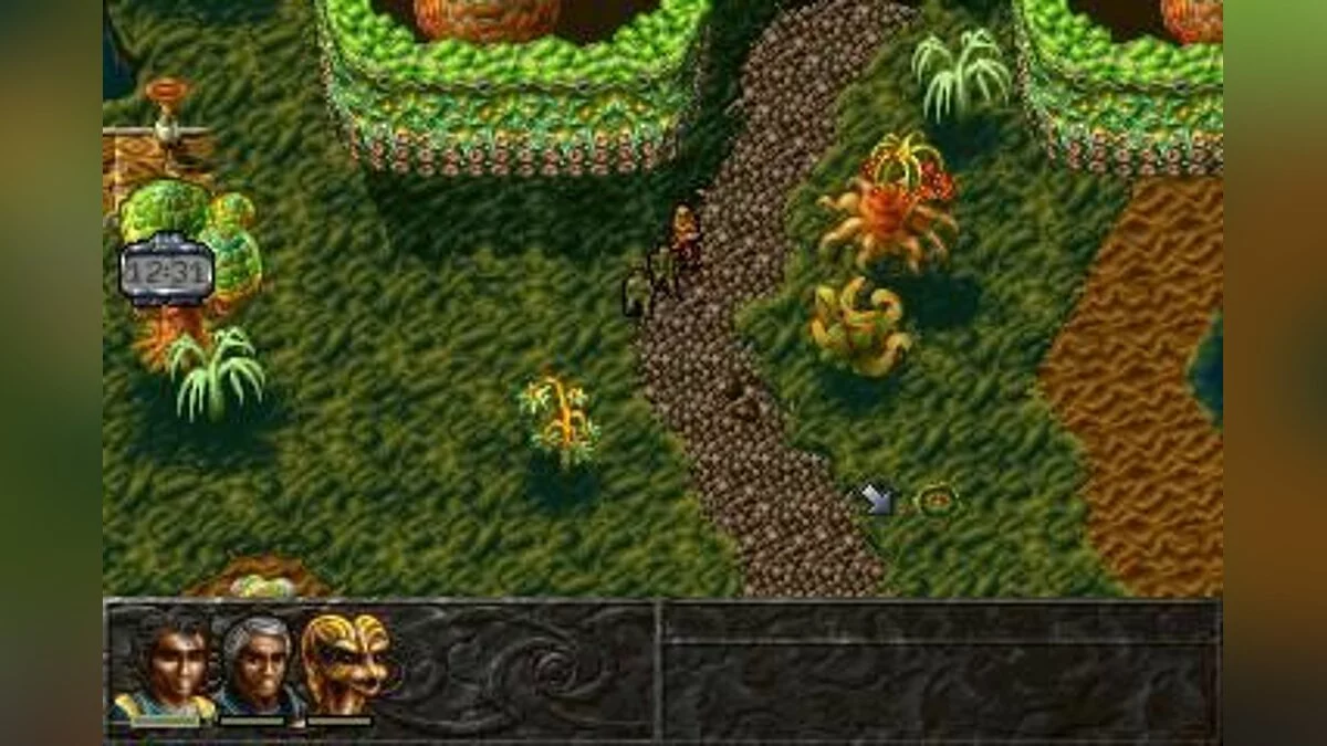 Скриншот из игры Albion - 5