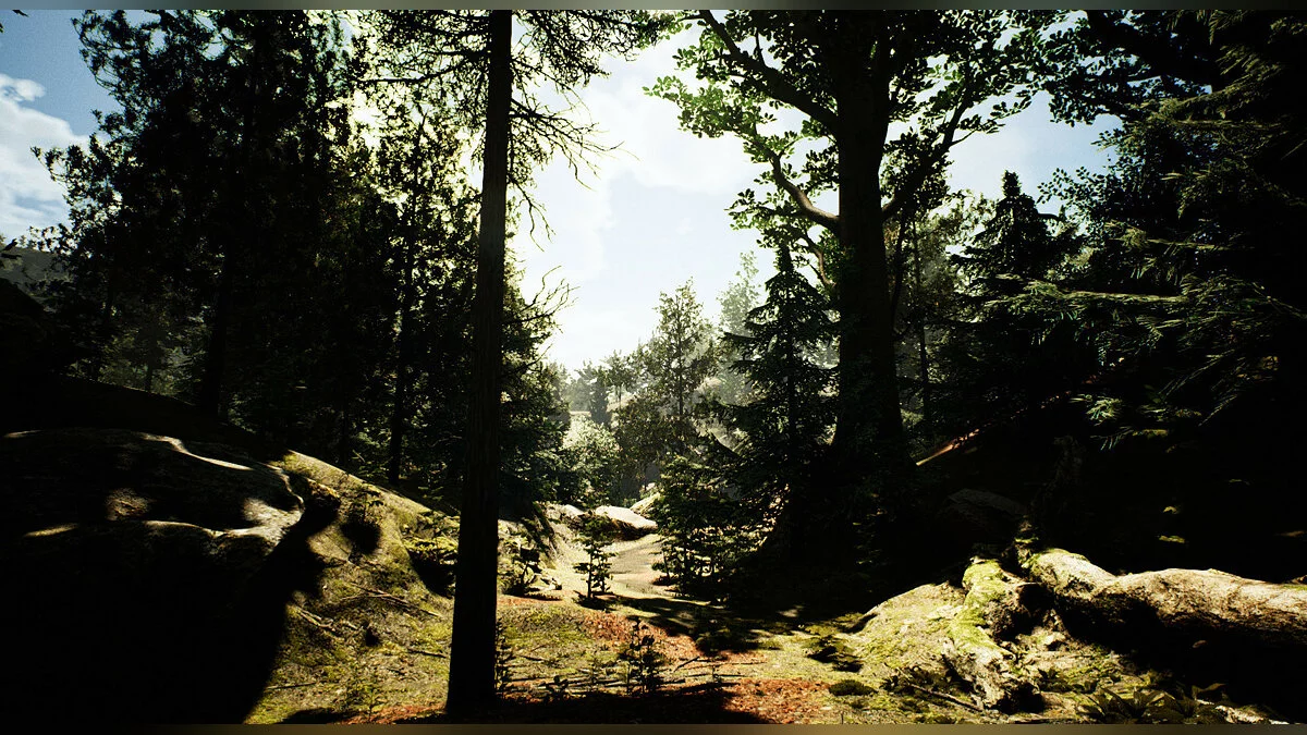 Скриншот из игры Reaching for Petals - 16