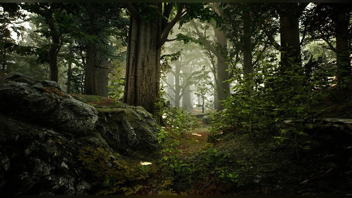 Скриншот из игры Reaching for Petals - 18