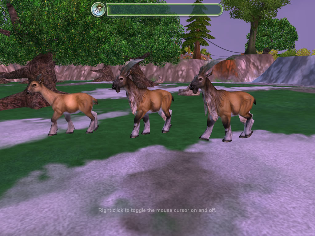 Скриншот из игры Zoo Tycoon 2: Endangered Species - 15