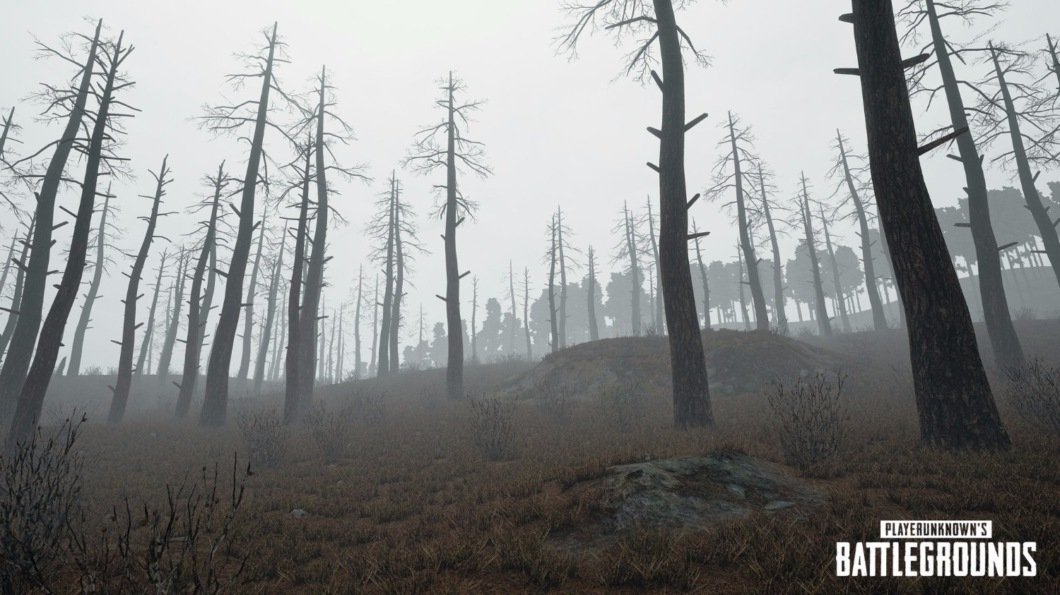 Скриншот из игры Playerunknown's Battlegrounds - 10