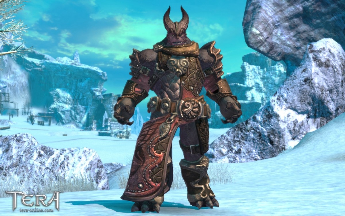 Скриншот из игры Tera Online - 132
