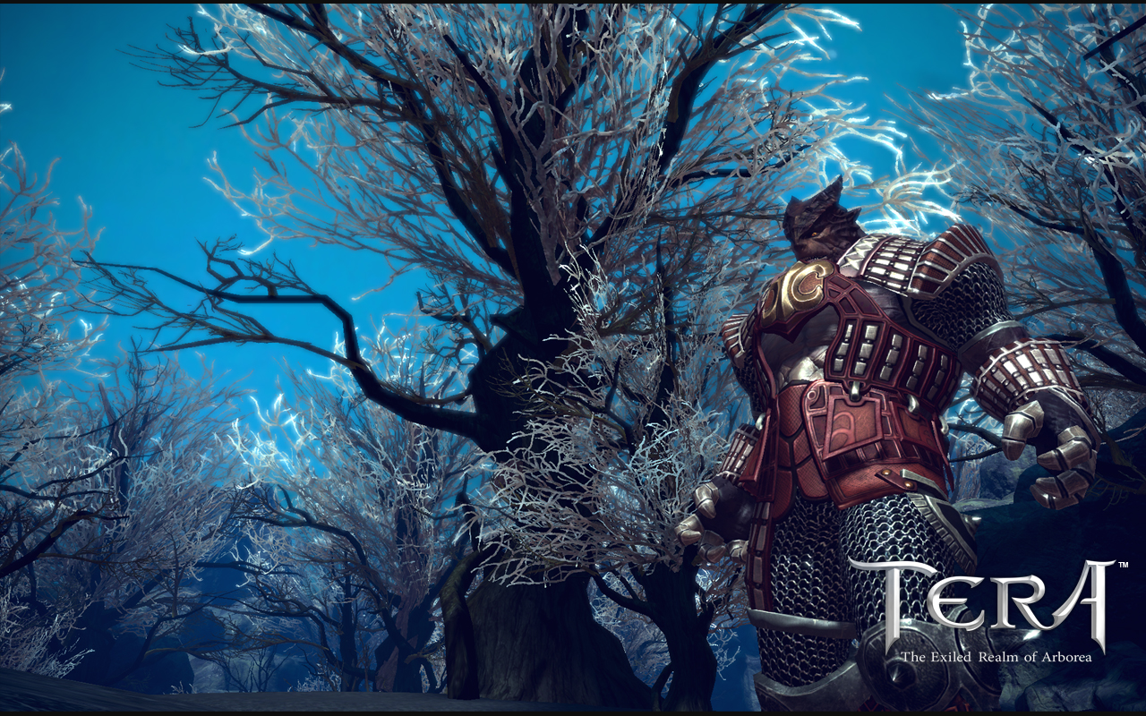 Скриншот из игры Tera Online - 129