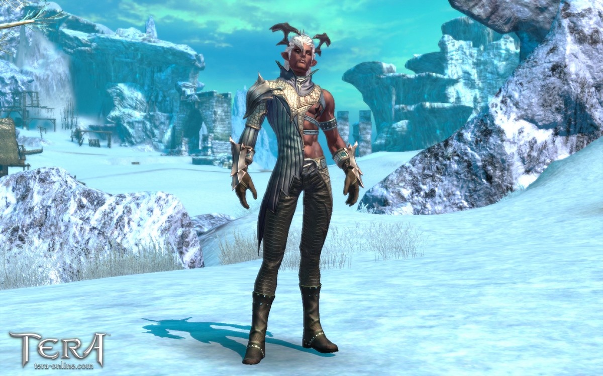 Скриншот из игры Tera Online - 37