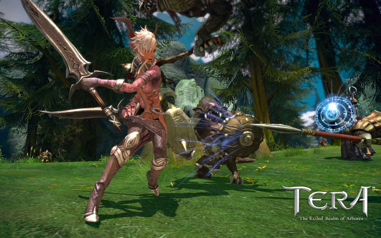Скриншот из игры Tera Online - 134