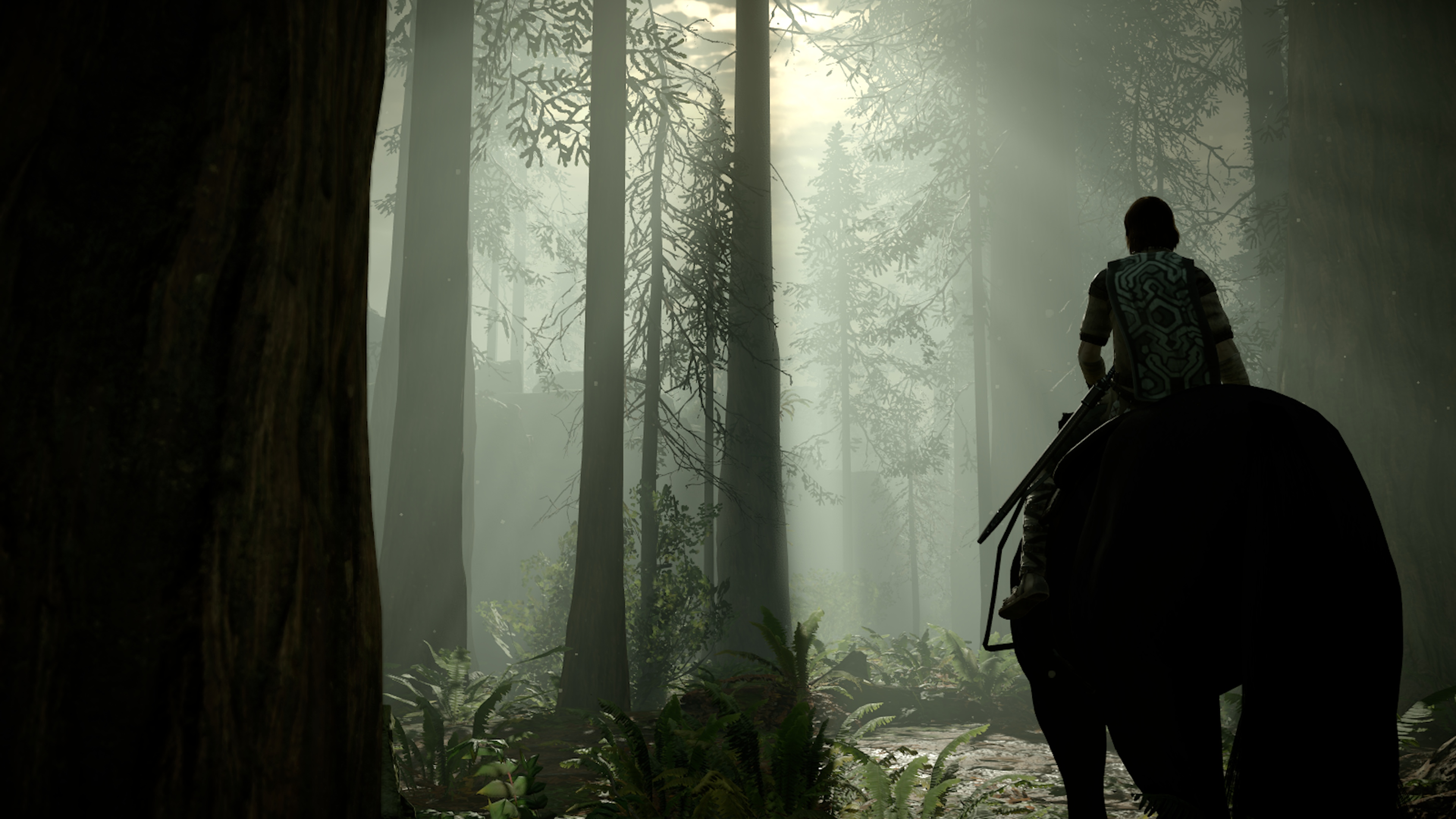 Скриншот из игры Shadow of the Colossus (2018) - 27