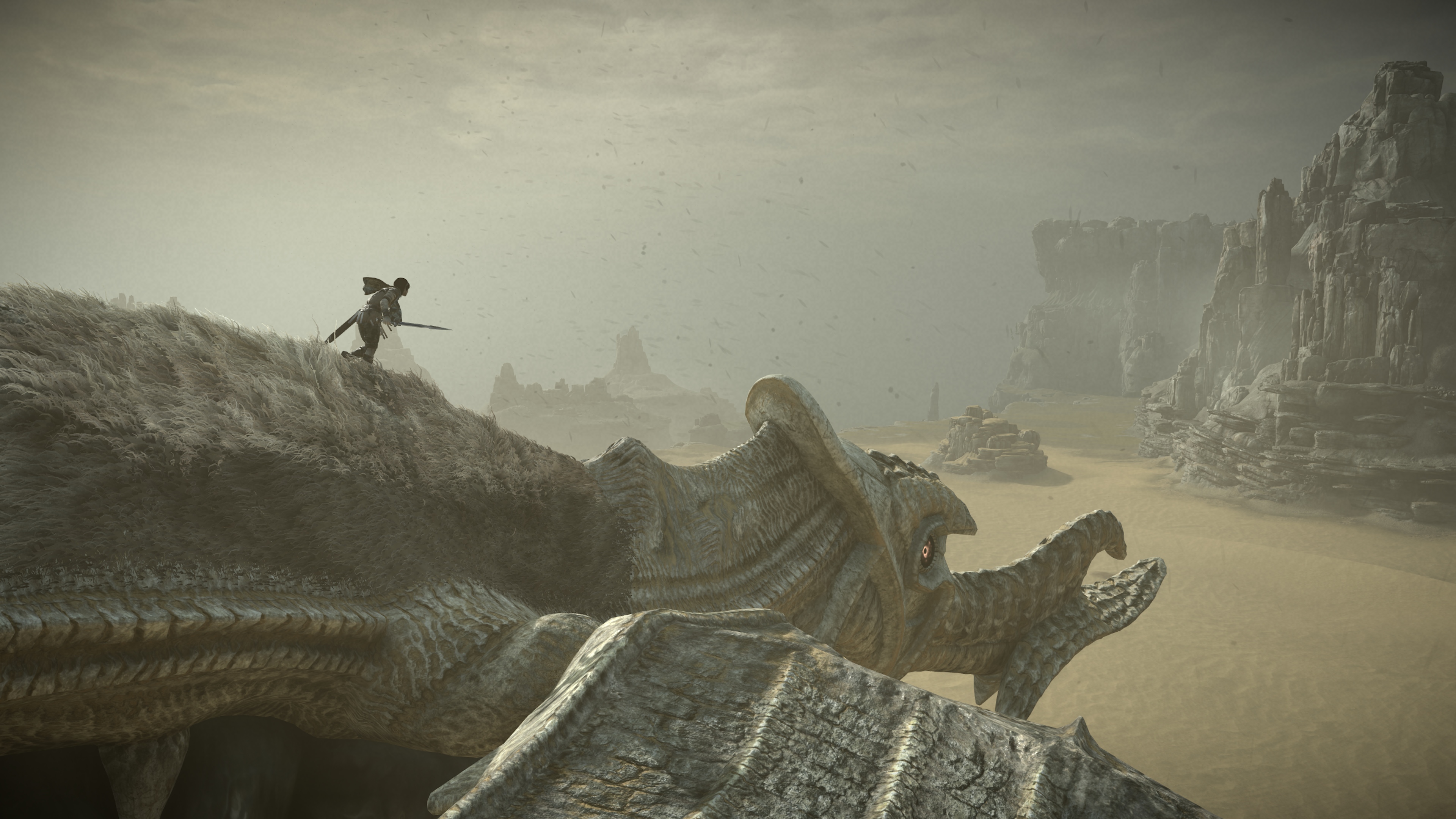 Скриншот из игры Shadow of the Colossus (2018) - 38