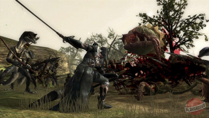 Скриншот из игры Kingdom Under Fire: Circle of Doom - 21