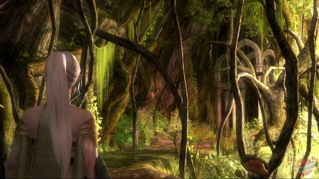 Скриншот из игры Kingdom Under Fire: Circle of Doom - 18