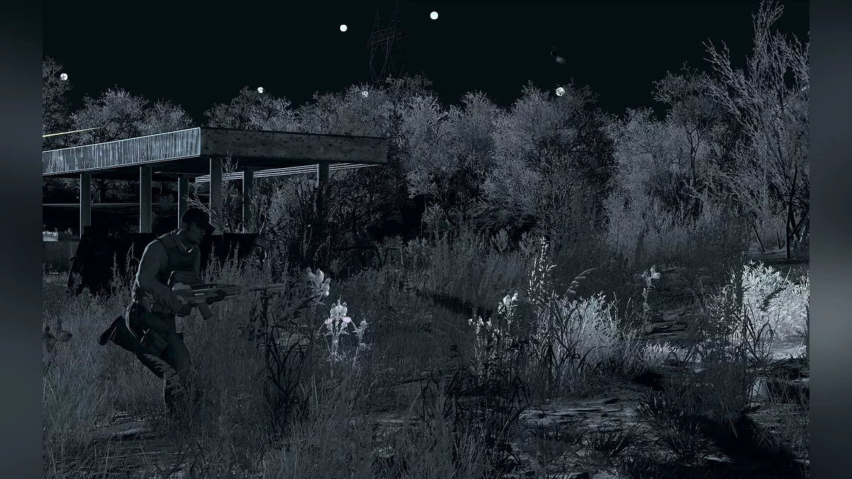 Скриншот из игры Arma 2: Private Military Company - 5